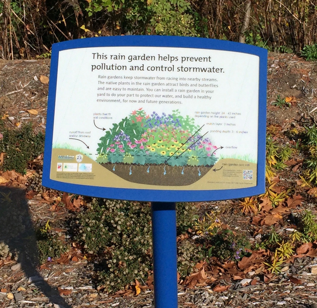 Radnor Rain Garden