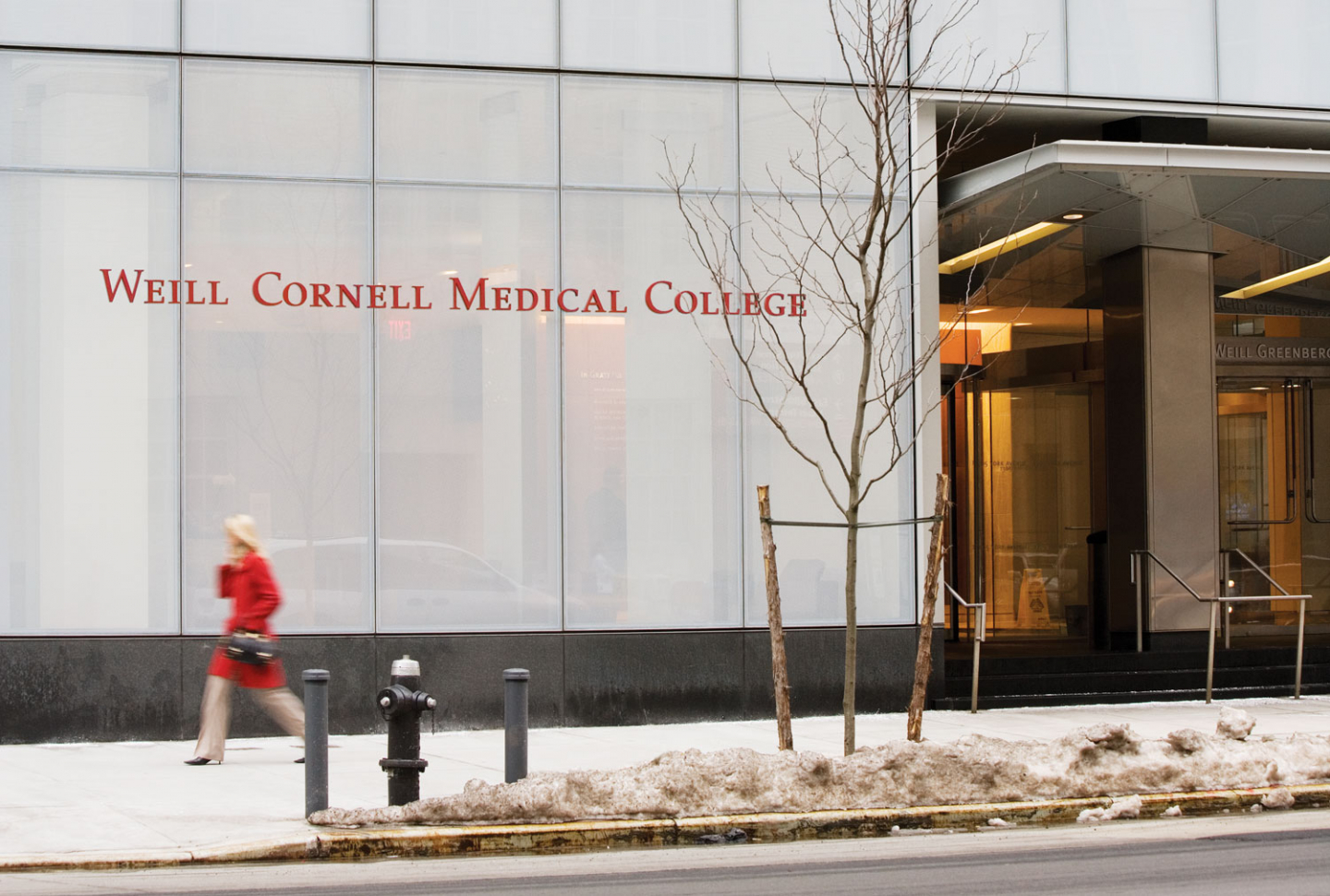 NewYorkPresbyterian/Weill Cornell Medical Center Cloud Gehshan