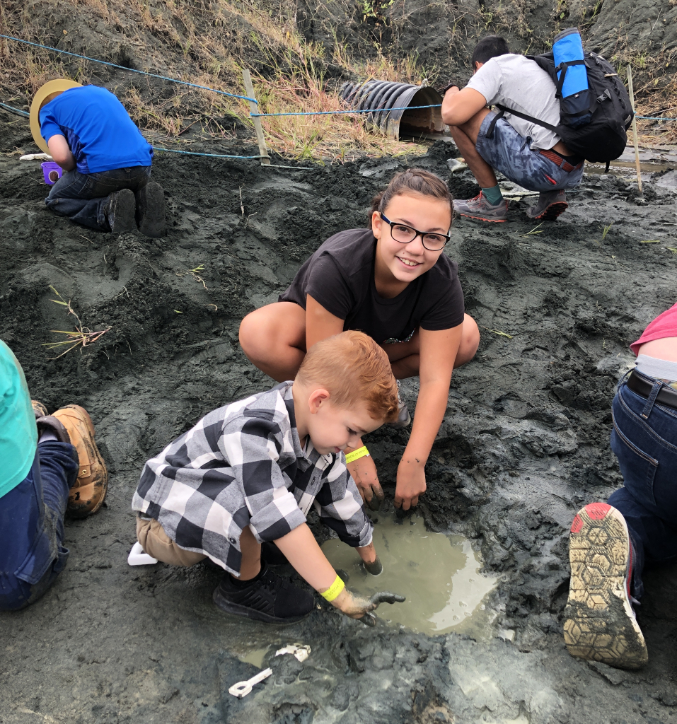 Digging for dinosaurs at Edelman Fossil Park