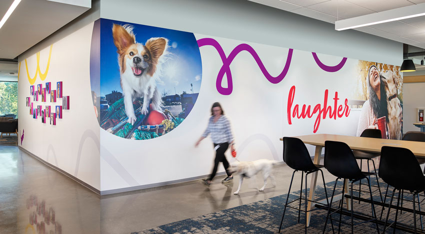 A new wayfinding and environmental branding system for Mars Petcare