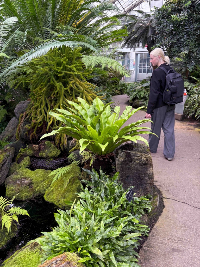 Honoring National Garden Month Through Design at the United States Botanic Garden